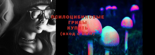 гидра Белоозёрский