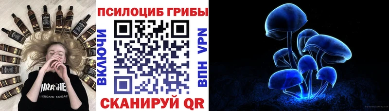 Галлюциногенные грибы MAGIC MUSHROOMS  MEGA зеркало  Краснотурьинск 